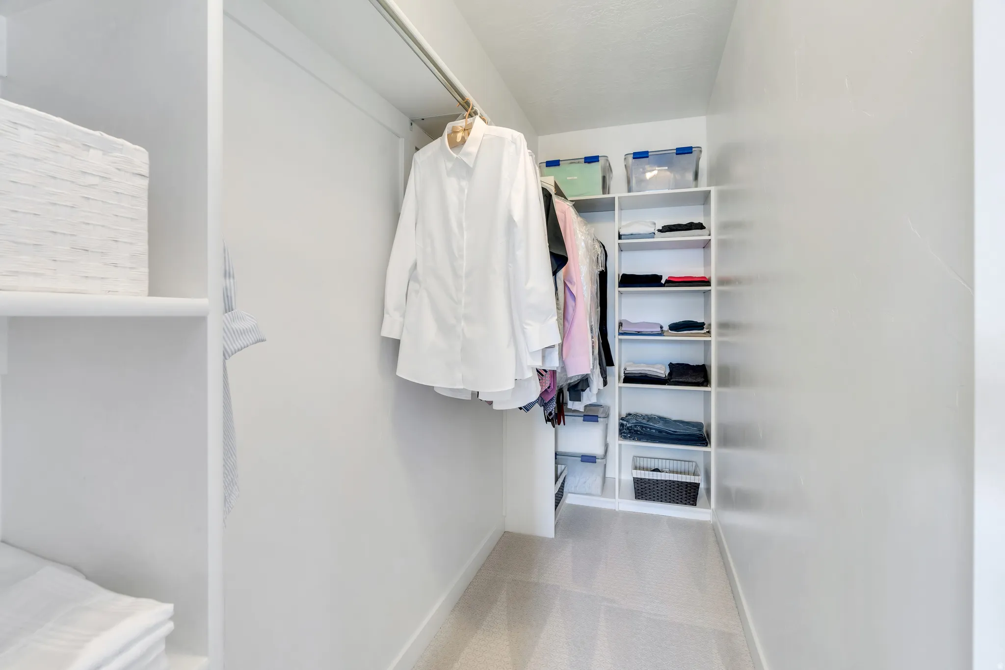 Walk-in closet with carpet flooring, a full-length clothes rod, and integrated shelving