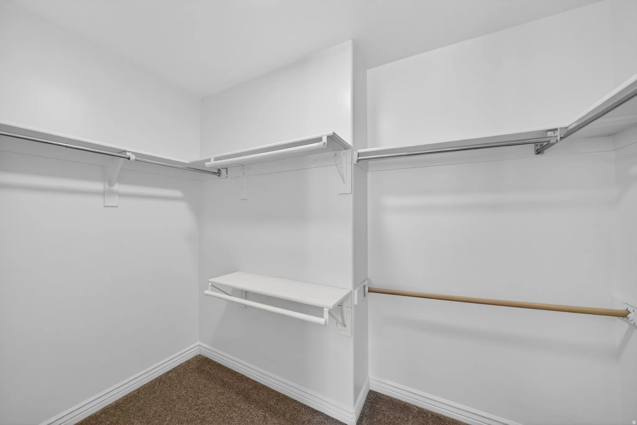 Walk-in closet featuring white walls, white trim, carpeted flooring, and multiple garment rods with shelving