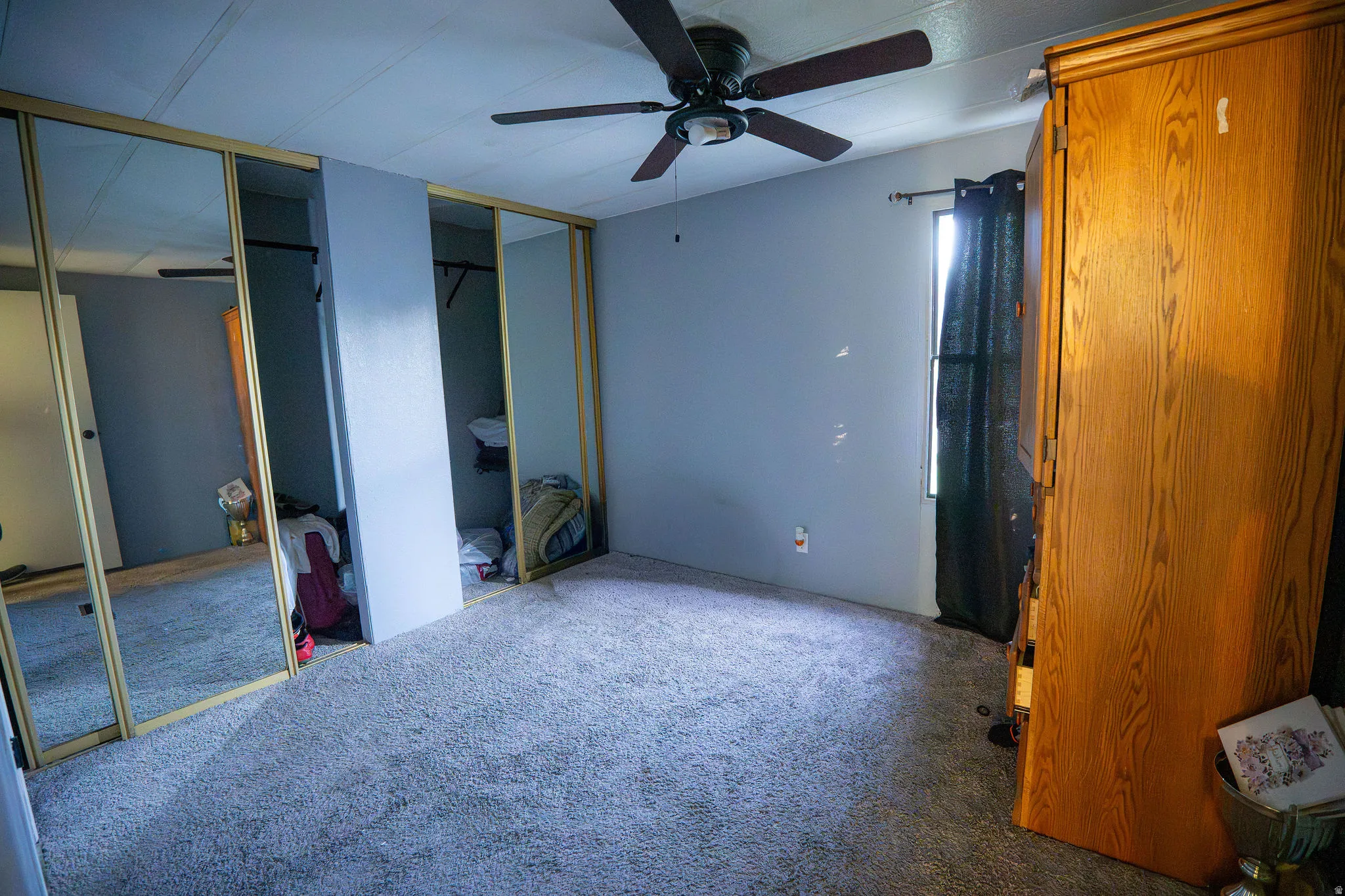 Room featuring wall-to-wall carpeting, light blue wall paint, a ceiling fan with dark blades, and mirrored sliding closet doors