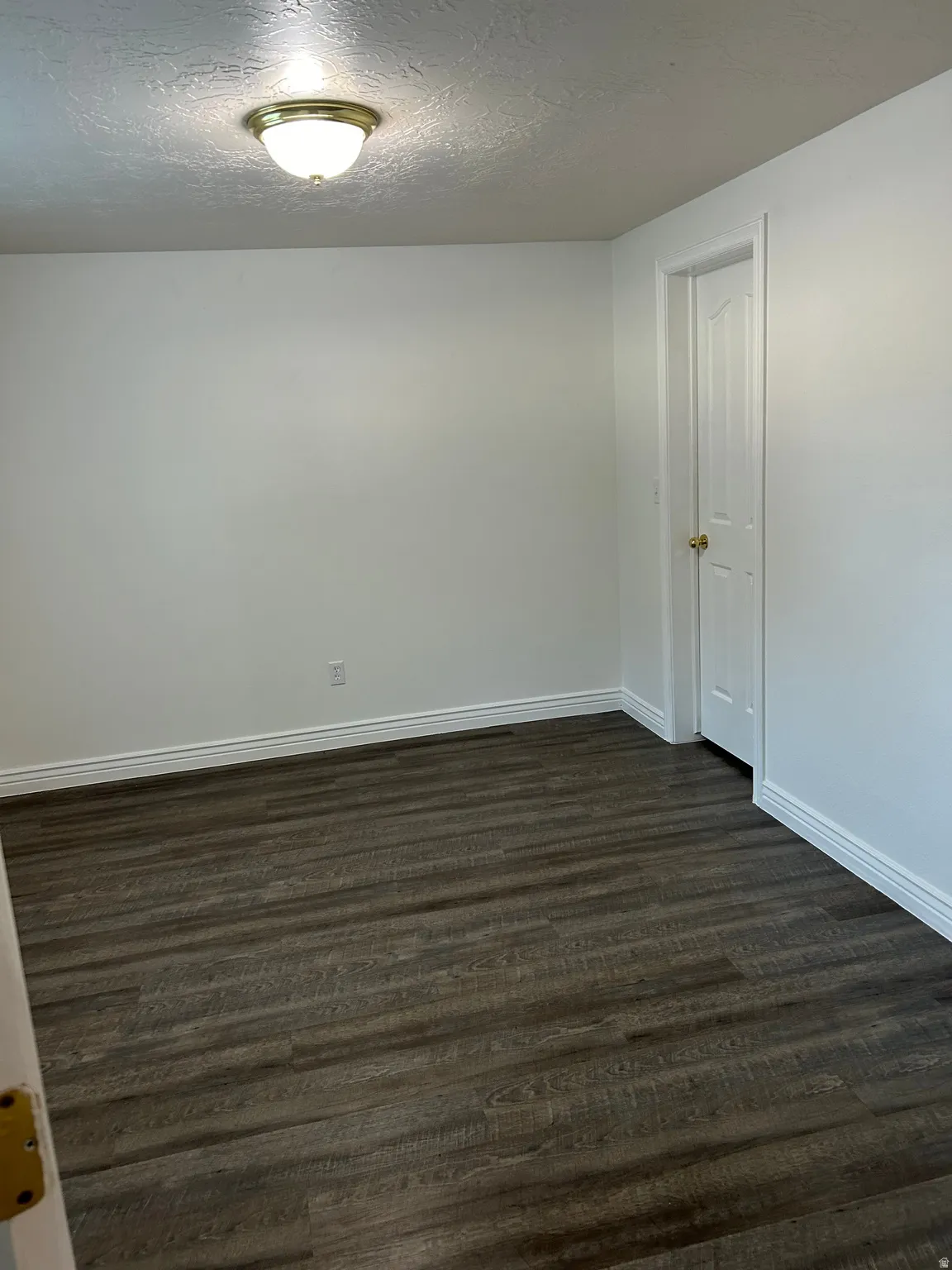 Room featuring wood-finish flooring, white baseboards, and a semi-flush ceiling light fixture