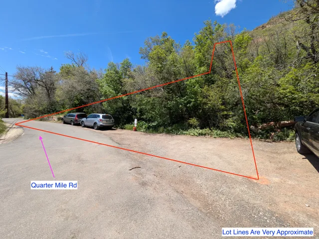 Unimproved lot with mature trees and natural landscaping