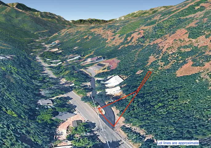 Mountainous terrain with significant tree coverage
