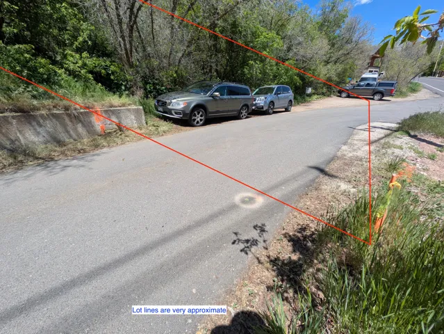 Unimproved lot with mature trees and natural landscaping