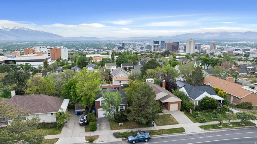 Aerial perspective showcasing a residential street with mature trees and a distant cityscape