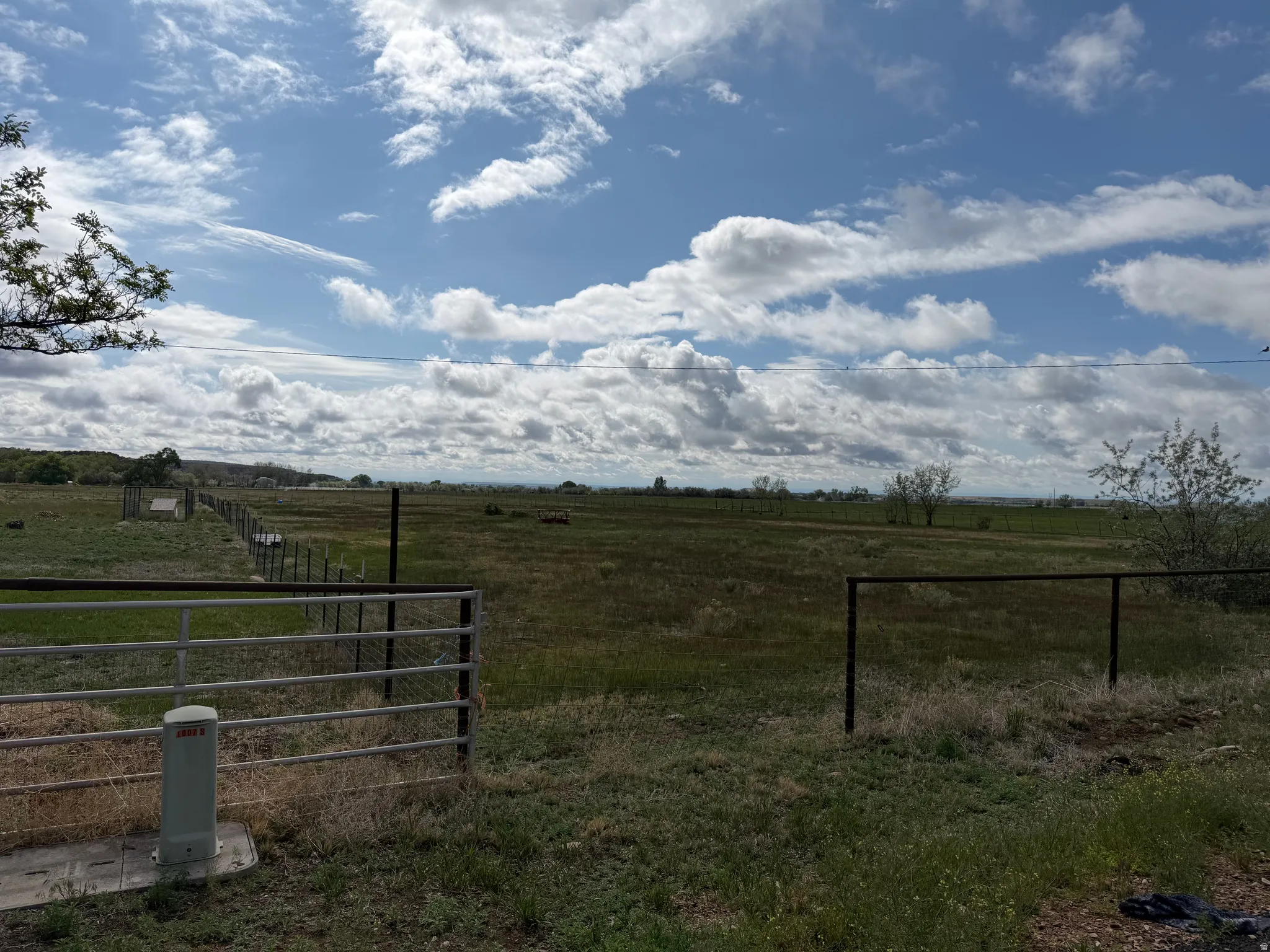 Expansive open land featuring diverse vegetation and distant tree lines