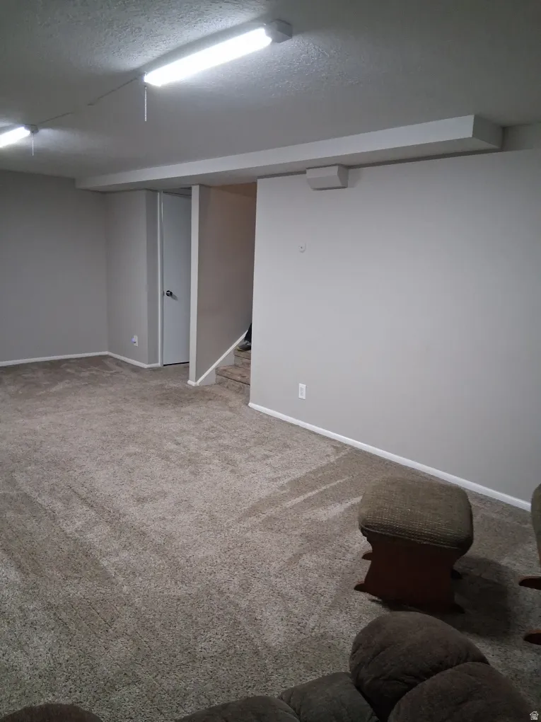 Finished basement with a textured ceiling and carpet