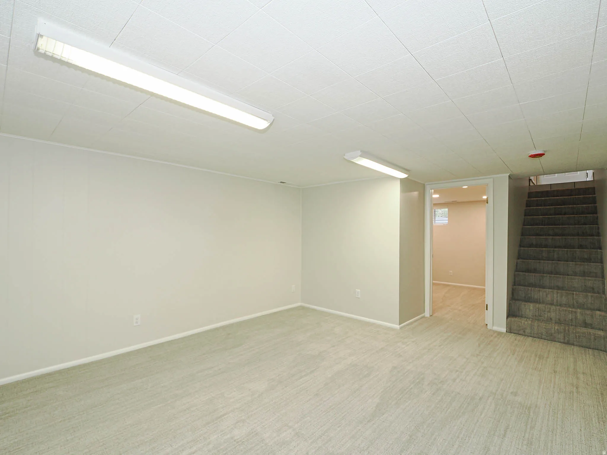 Carpeted room with neutral wall paint and white trim