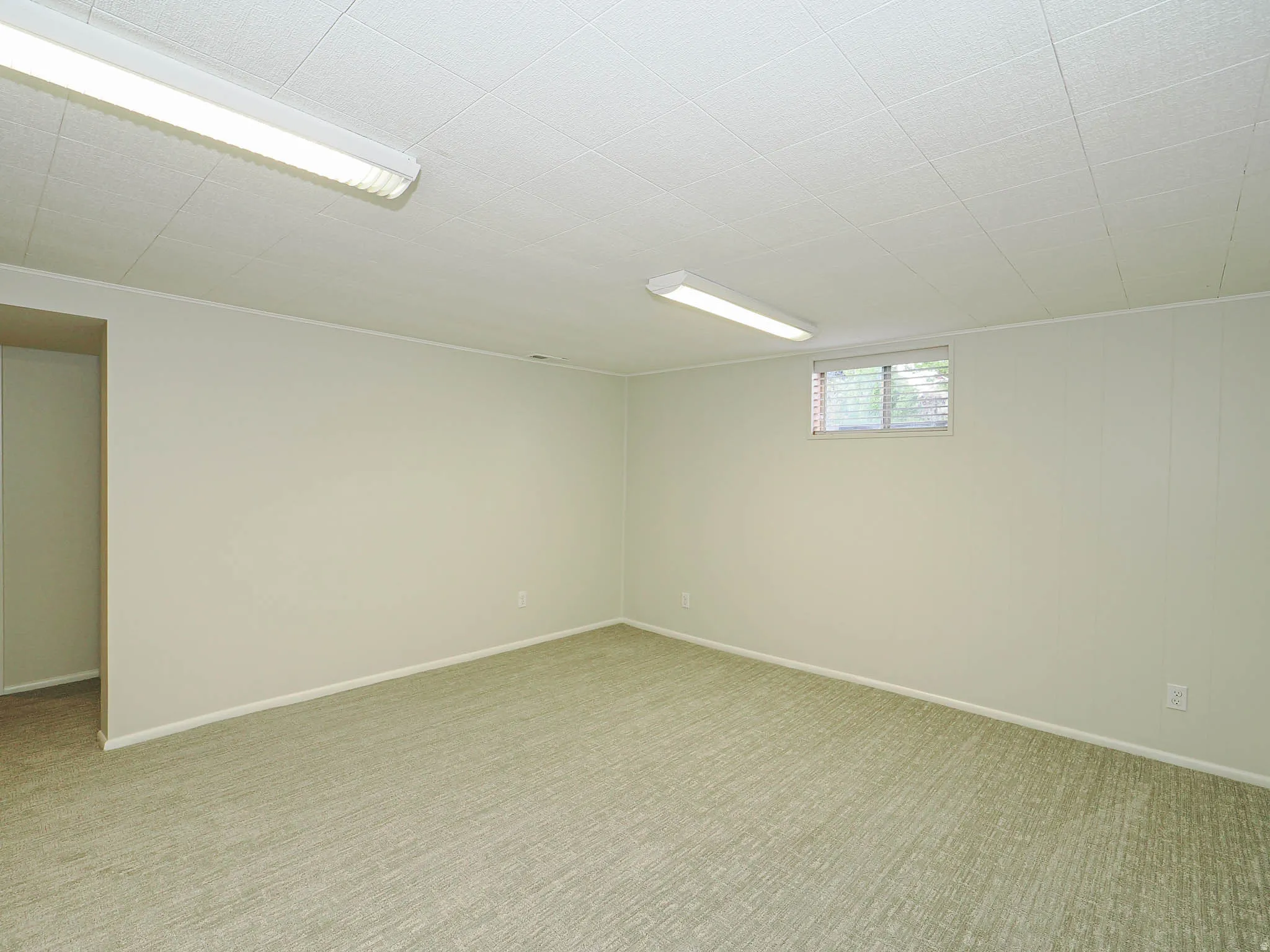 Spacious room featuring light-colored walls, patterned carpeting, and a drop ceiling with integrated LED lighting