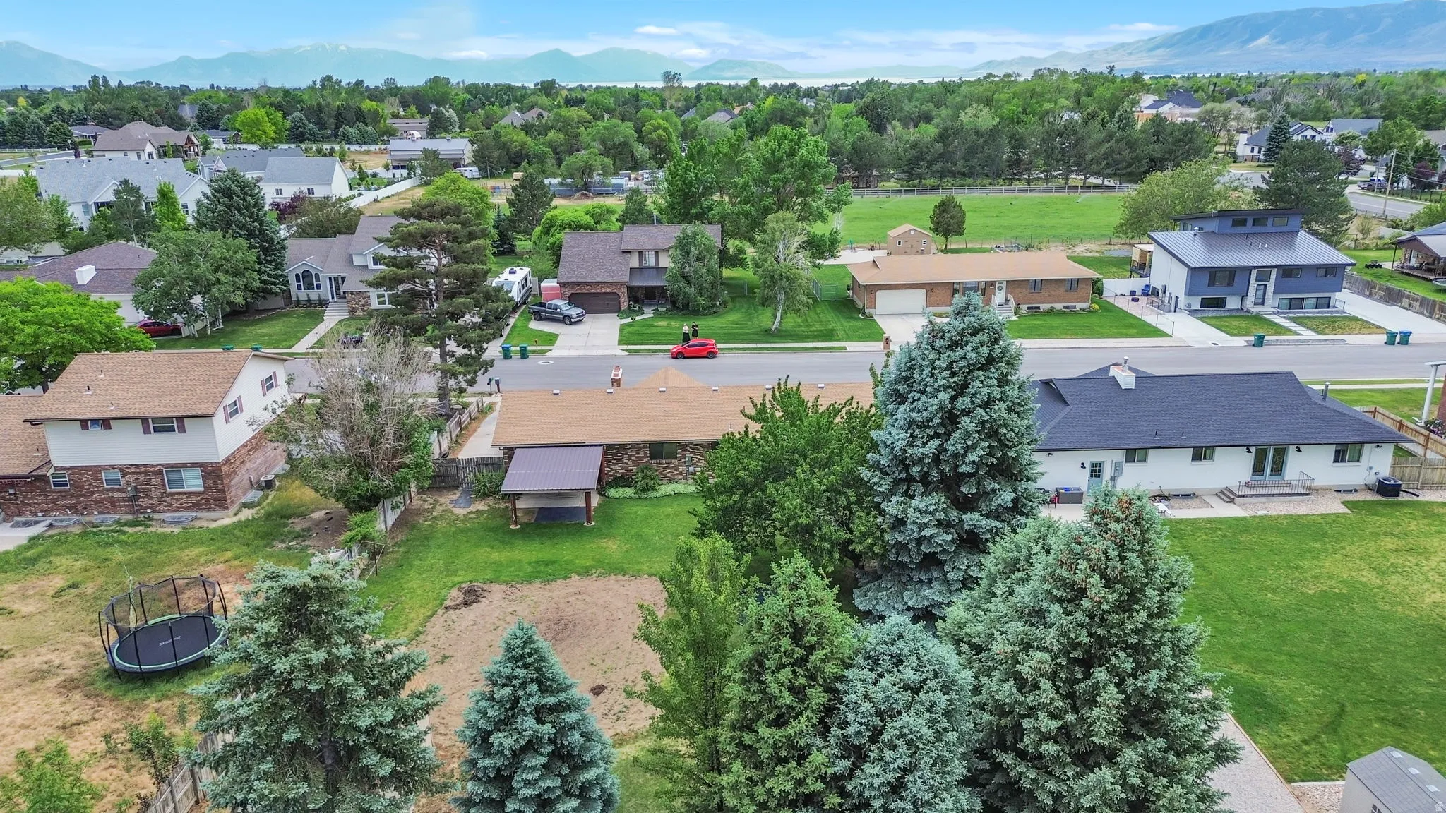 Expansive residential area with mature trees and a distant mountain backdrop