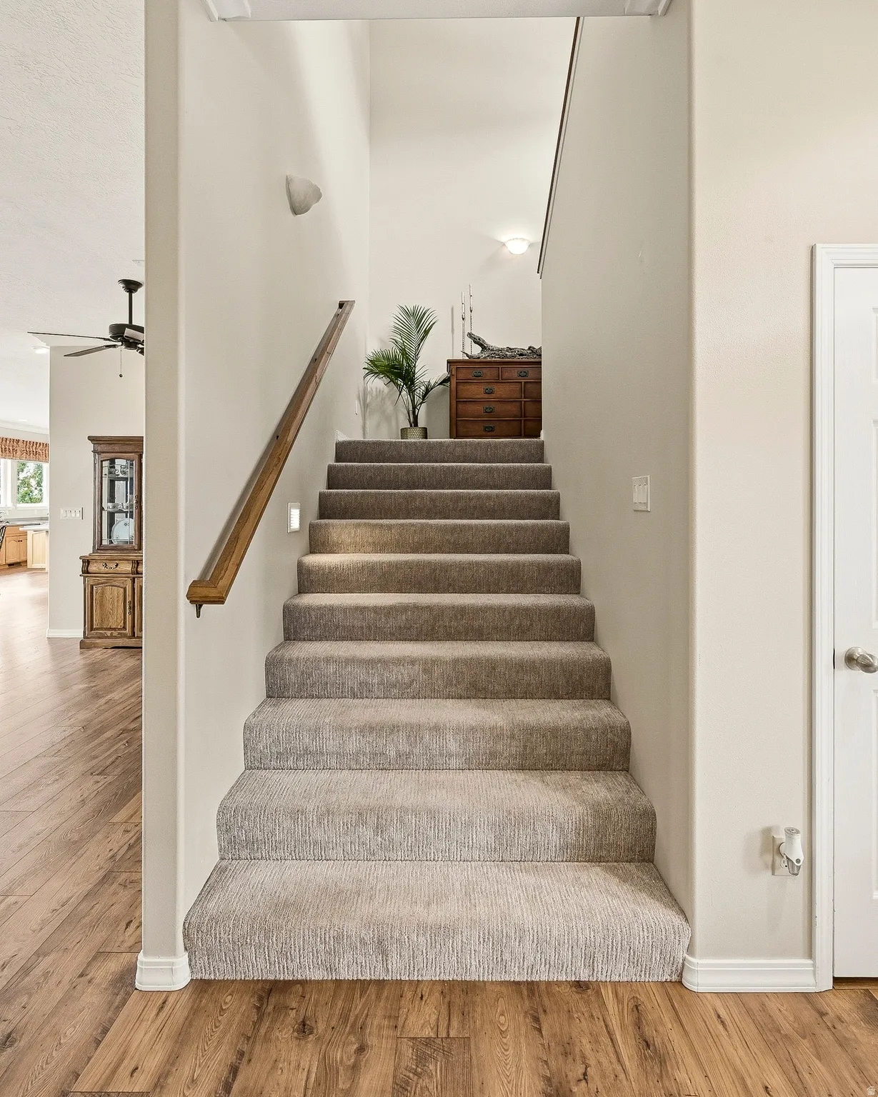Carpeted staircase with wooden handrail