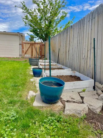 Garden boxes, plant now for harvest time