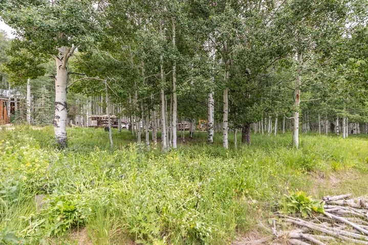 11911 E Antelope Dr, Heber City, Utah 84032