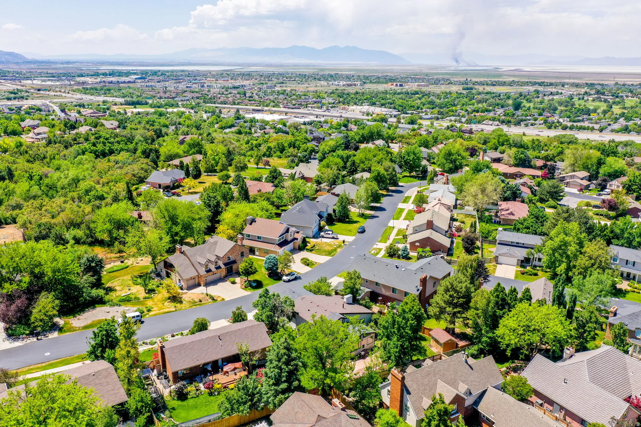 Aerial perspective showcasing a residential neighborhood with established trees and diverse architectural styles