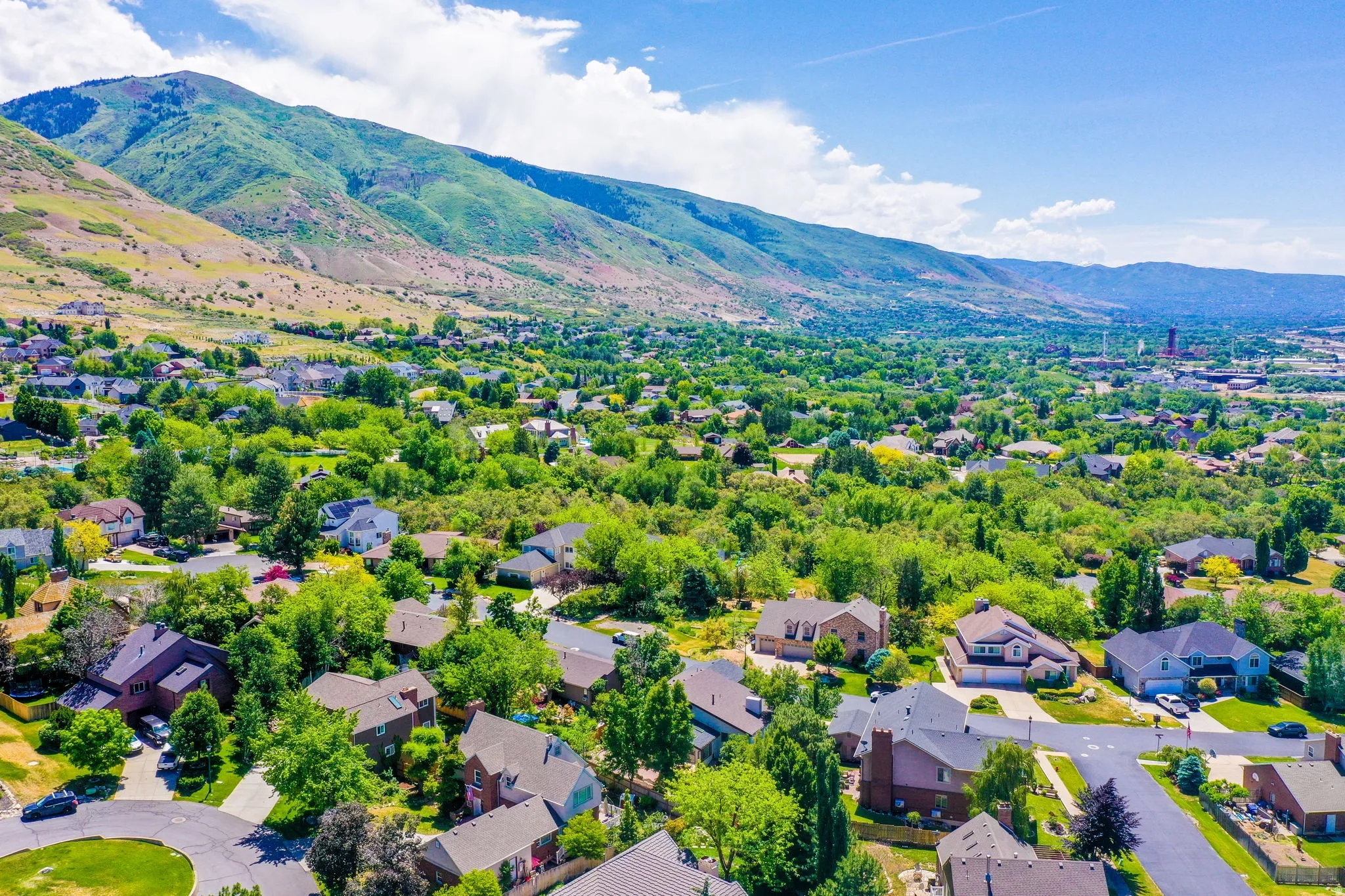 Expansive aerial perspective showcasing a residential neighborhood with diverse architectural styles, a backdrop of verdant mountains, and abundant mature trees