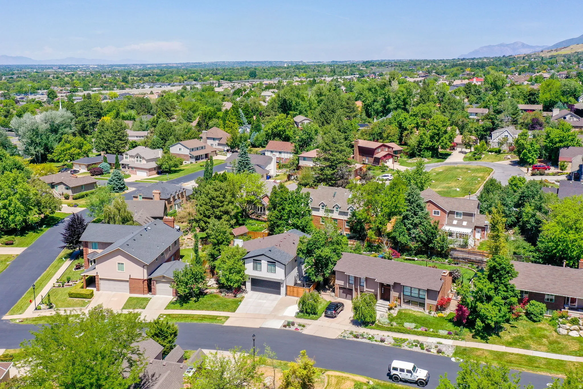 Aerial perspective showcasing a residential neighborhood with mature trees and paved streets