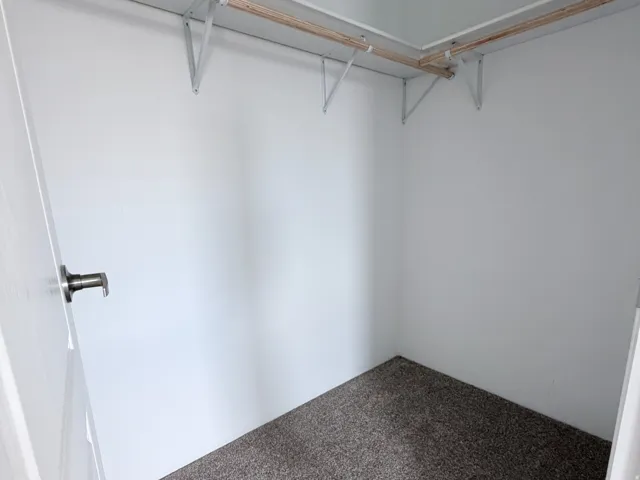 Primary Bedroom Walk-In closet