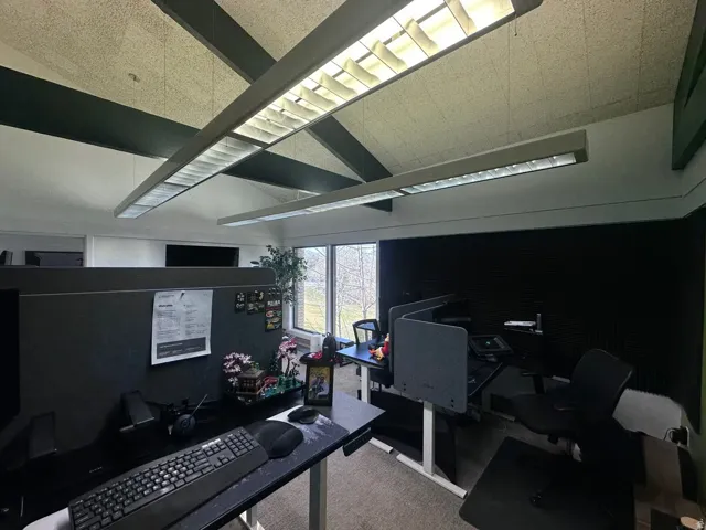 Vaulted ceiling with exposed dark-painted beams and acoustic paneling