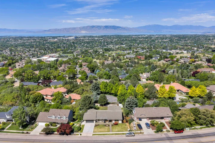 Expansive aerial perspective showcasing a residential landscape with mature trees and varied architectural styles