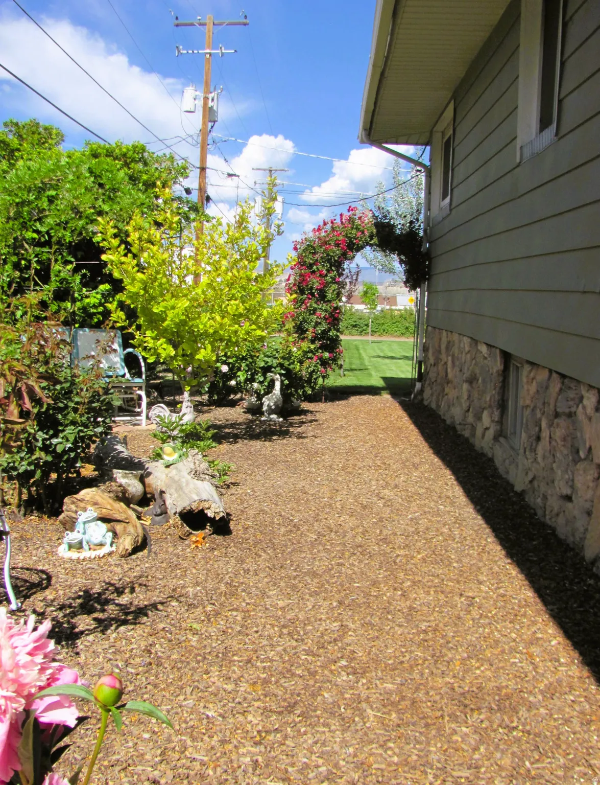 Landscaped side yard featuring a rose-covered archway, mature shrubs, and wood chip ground cover