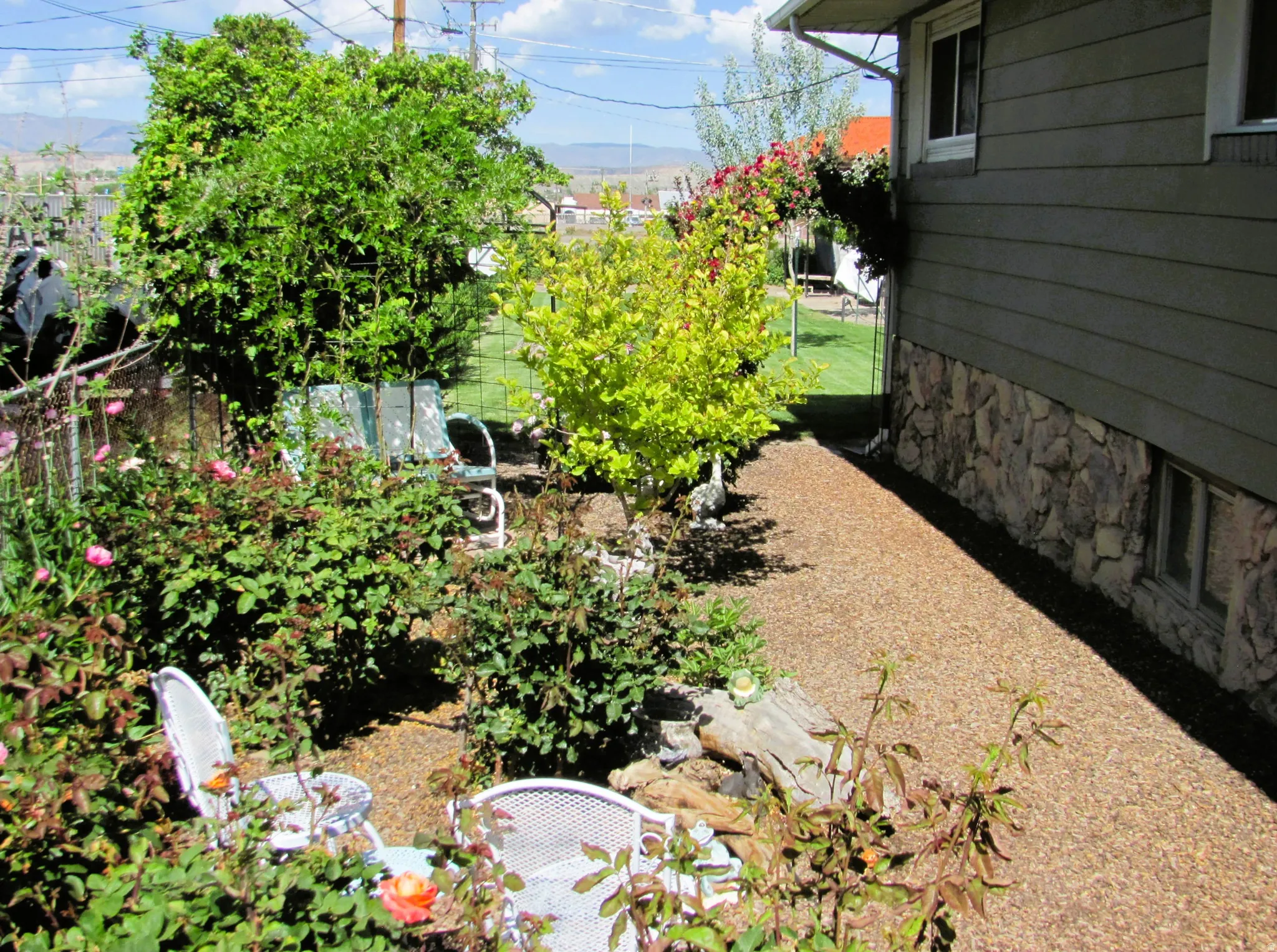 Manicured side yard featuring diverse plantings