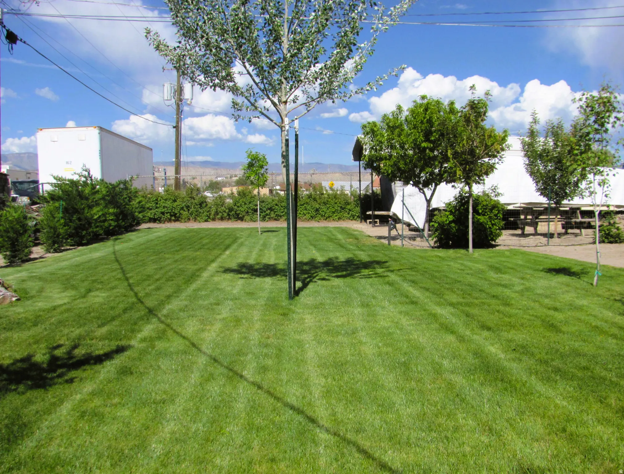 Expansive lawn area with manicured grass and established trees