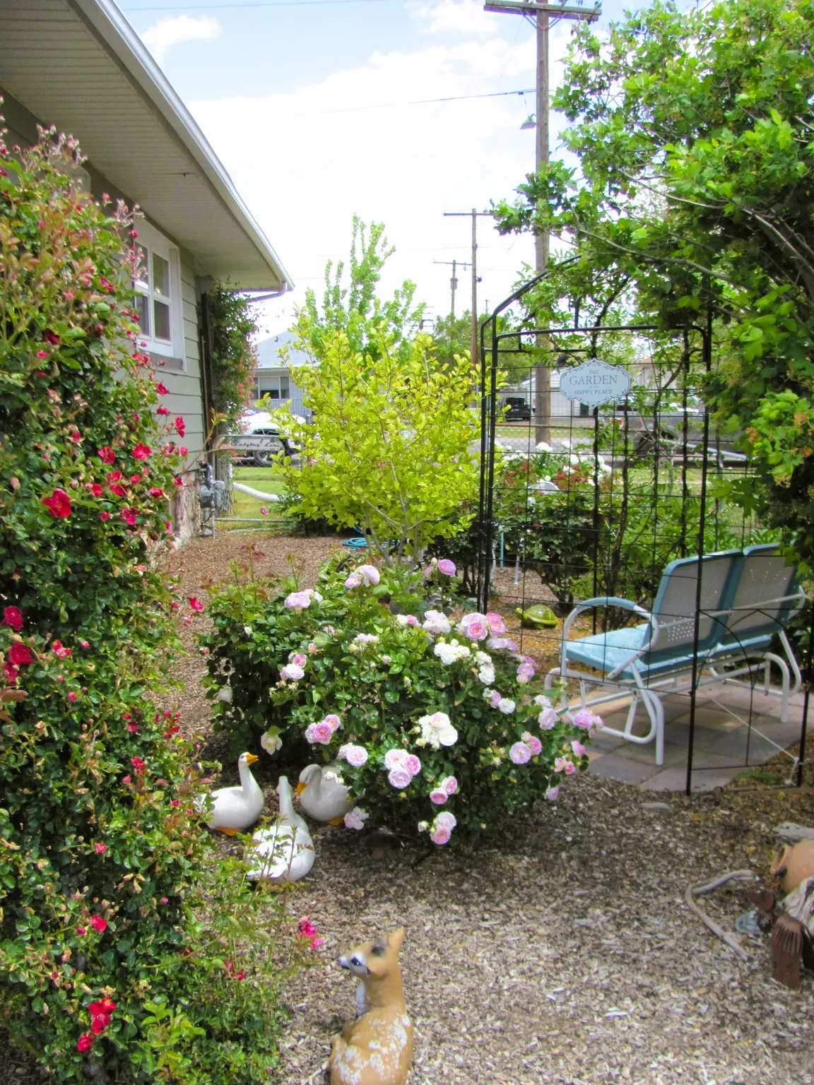 Landscaped garden area featuring mature rose bushes with pink and red blooms, a gravel path, and a decorative metal archway