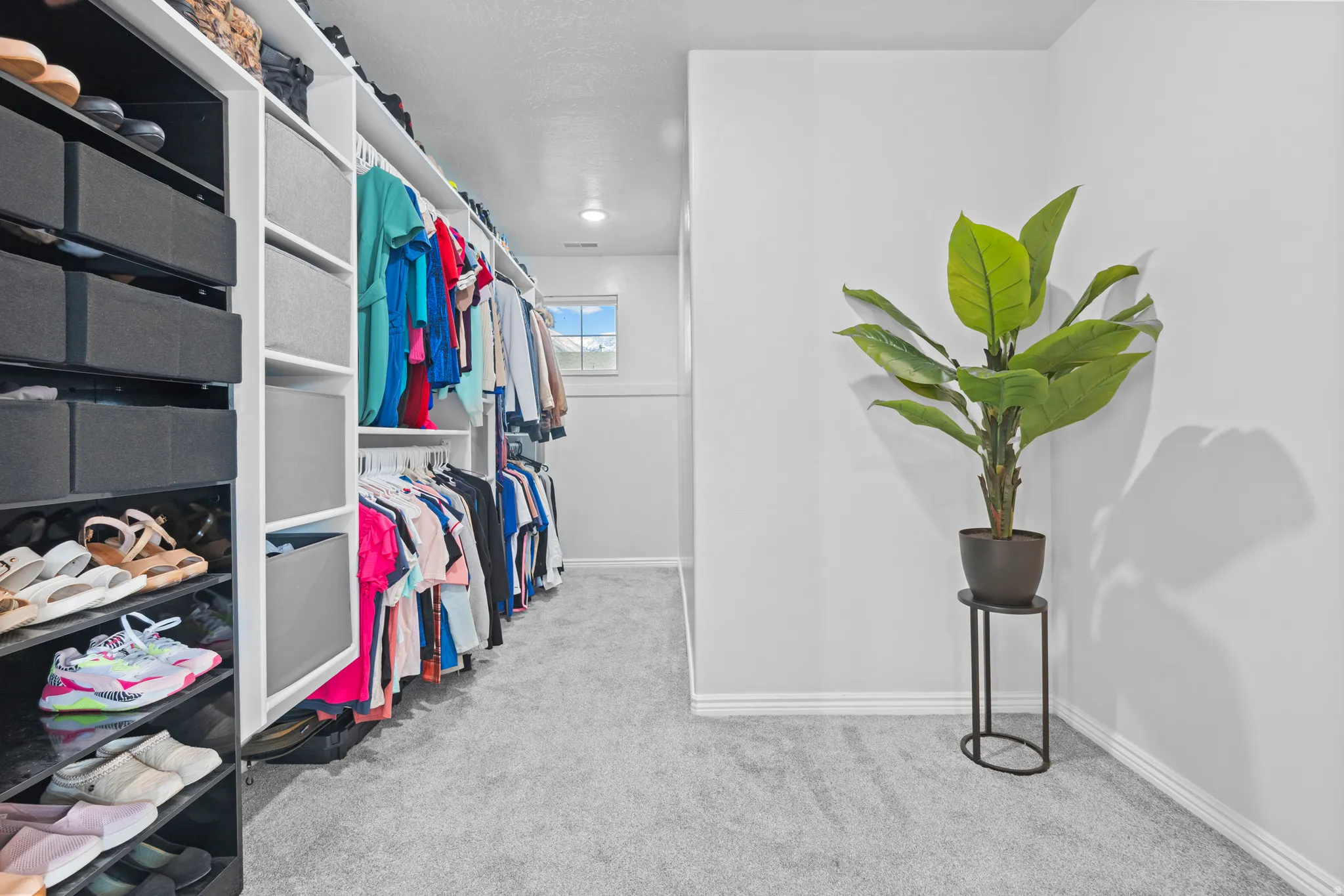 Spacious walk-in closet featuring extensive built-in shelving, hanging rods, and integrated storage bins