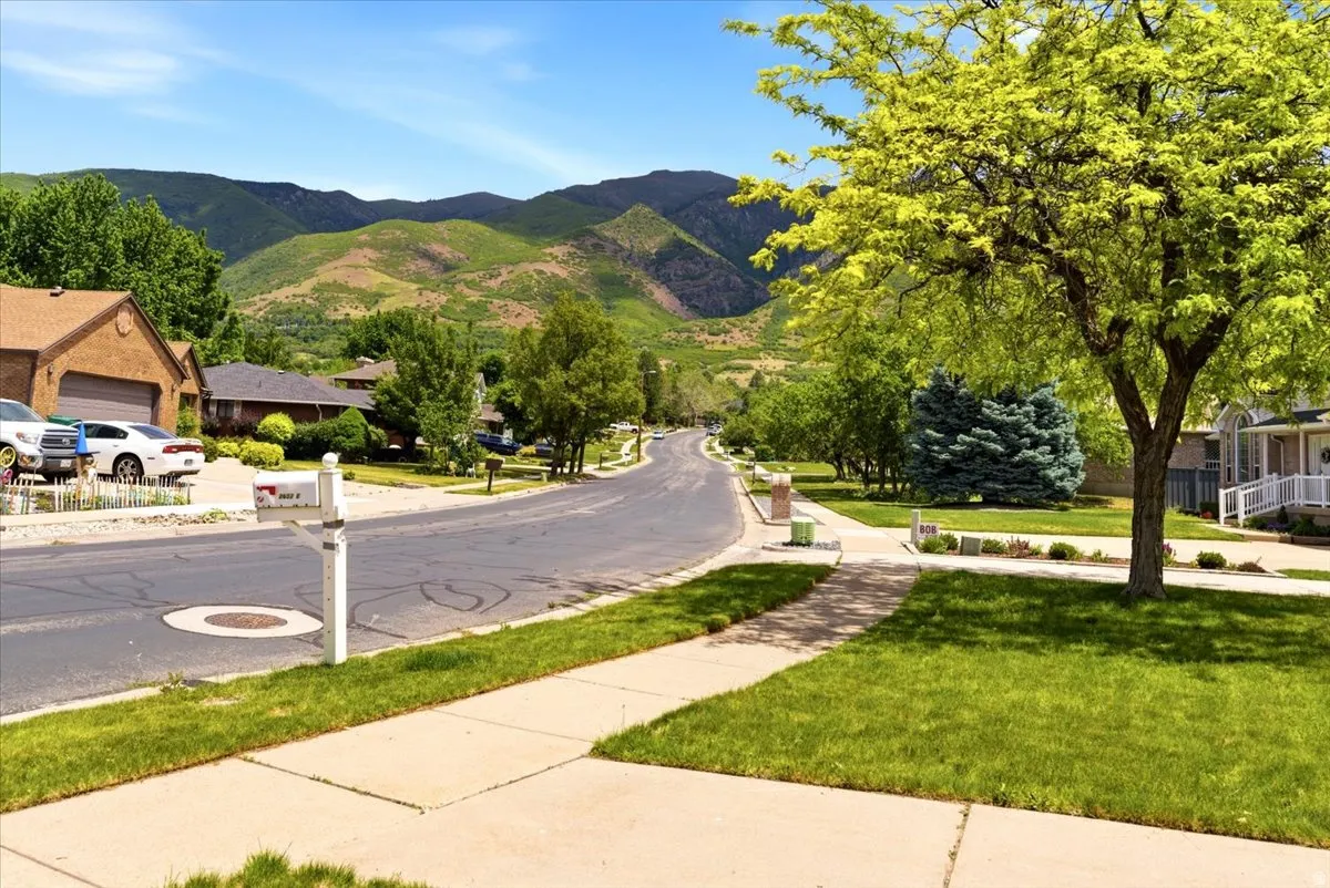 Tree-lined street with sidewalks and manicured lawns