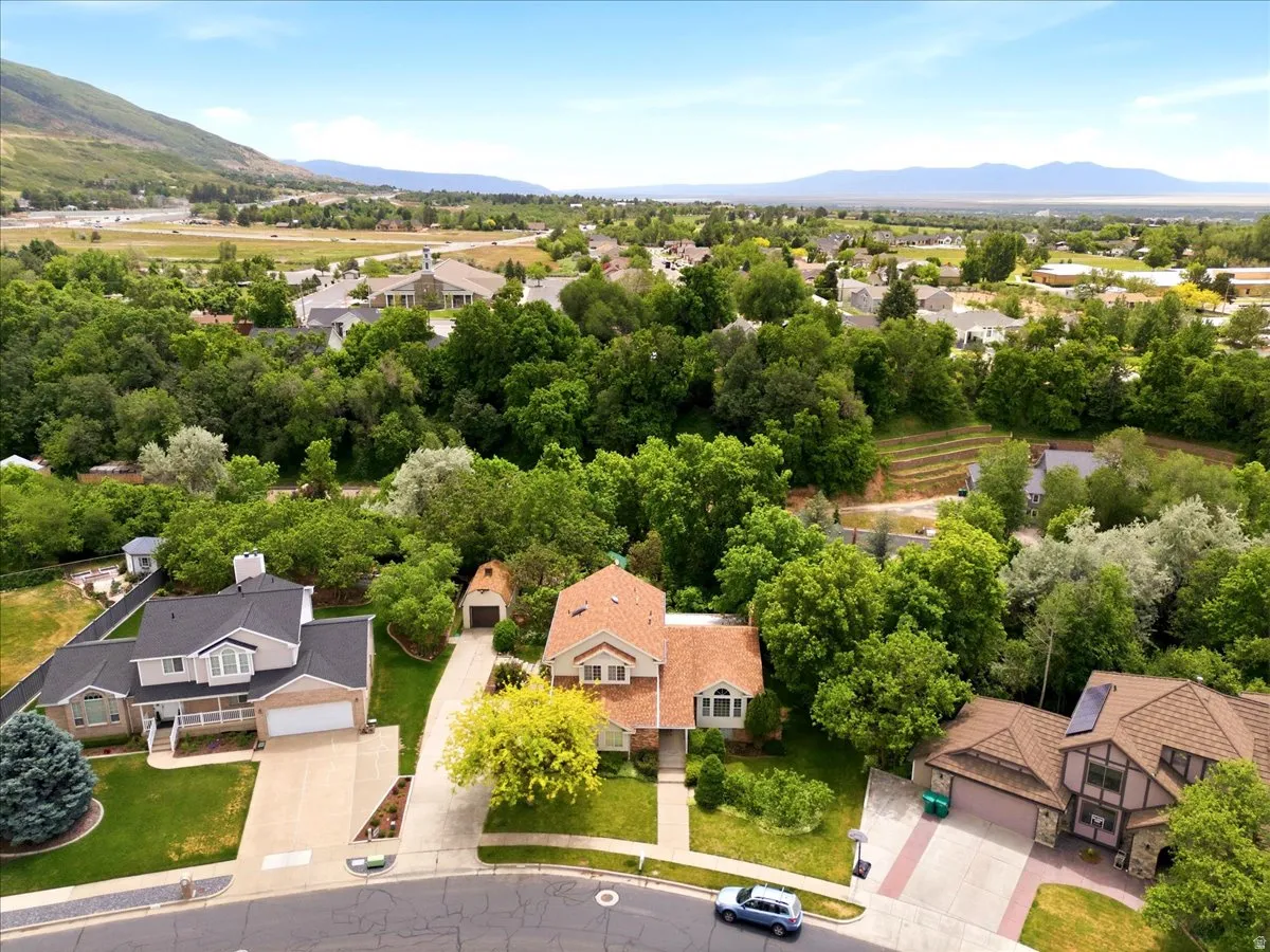Aerial perspective showcasing a residential neighborhood surrounded by mature trees and distant mountain ranges
