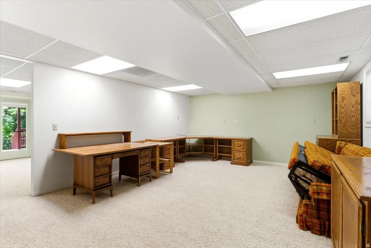 Spacious room featuring light-colored carpeting, white and light green painted walls, and a drop ceiling with integrated lighting panels
