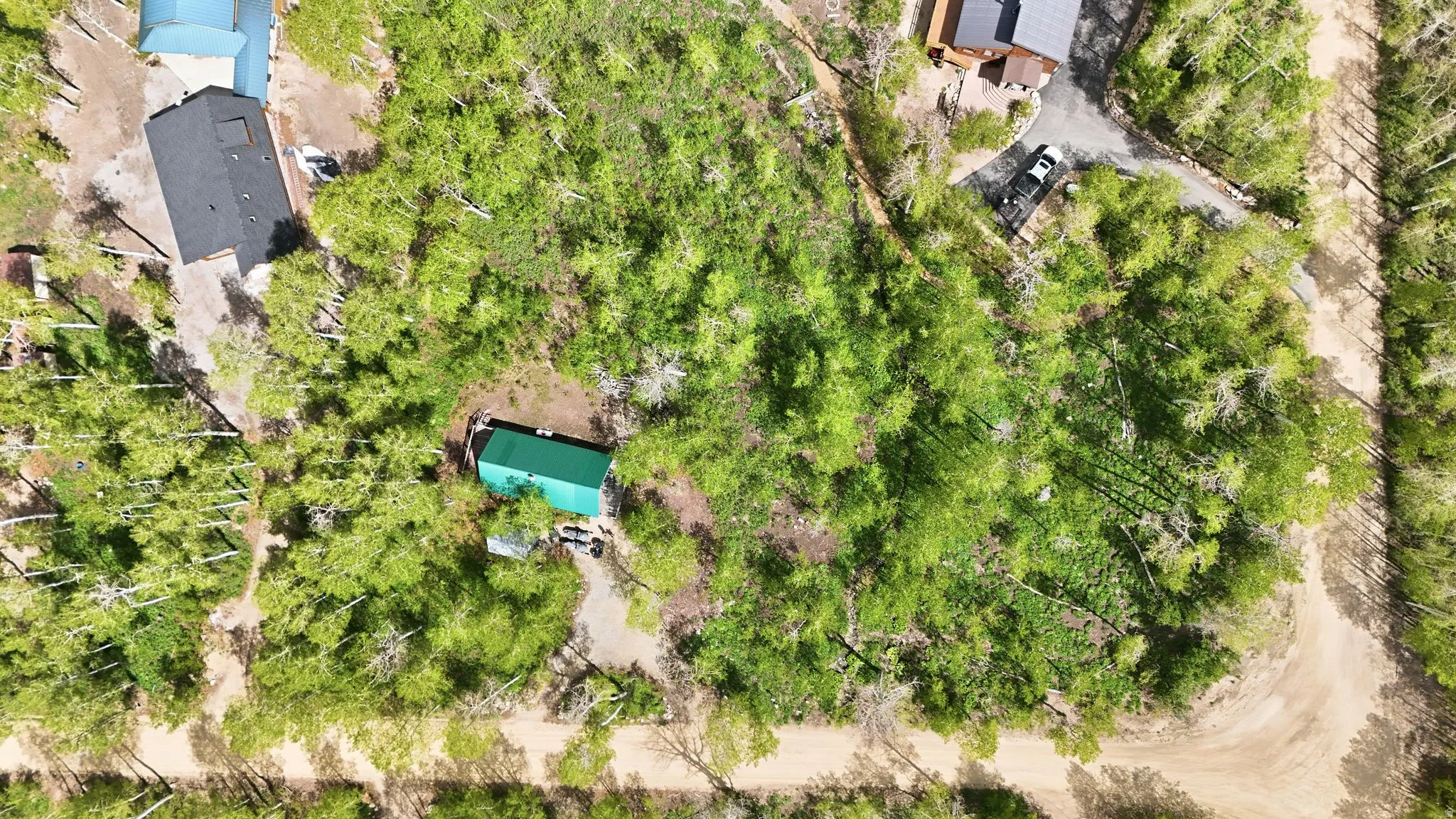 Wooded lot featuring mature trees, a gravel driveway, and a utility building with a green roof