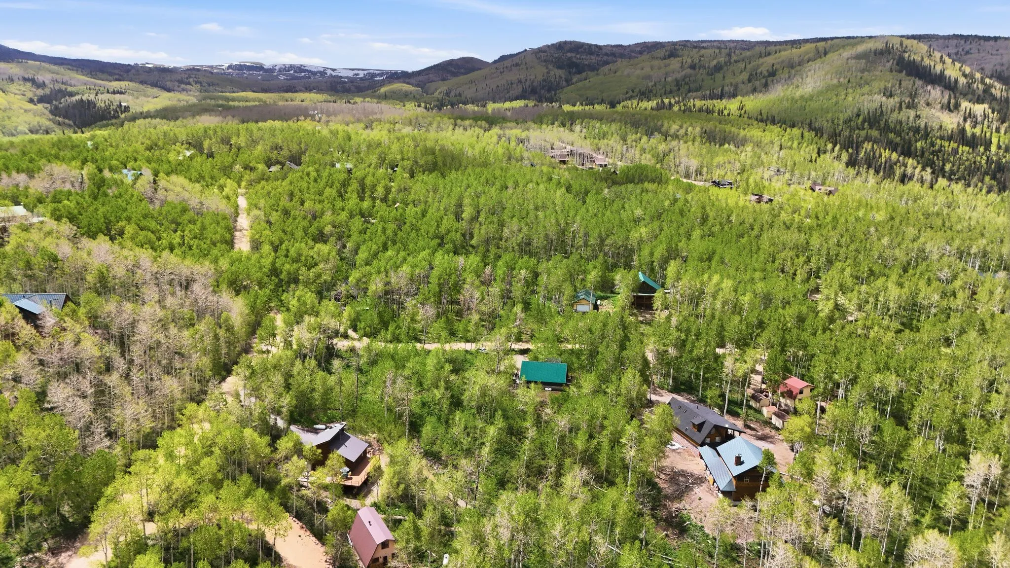 Expansive wooded terrain featuring multiple structures, verdant foliage, and a natural landscape