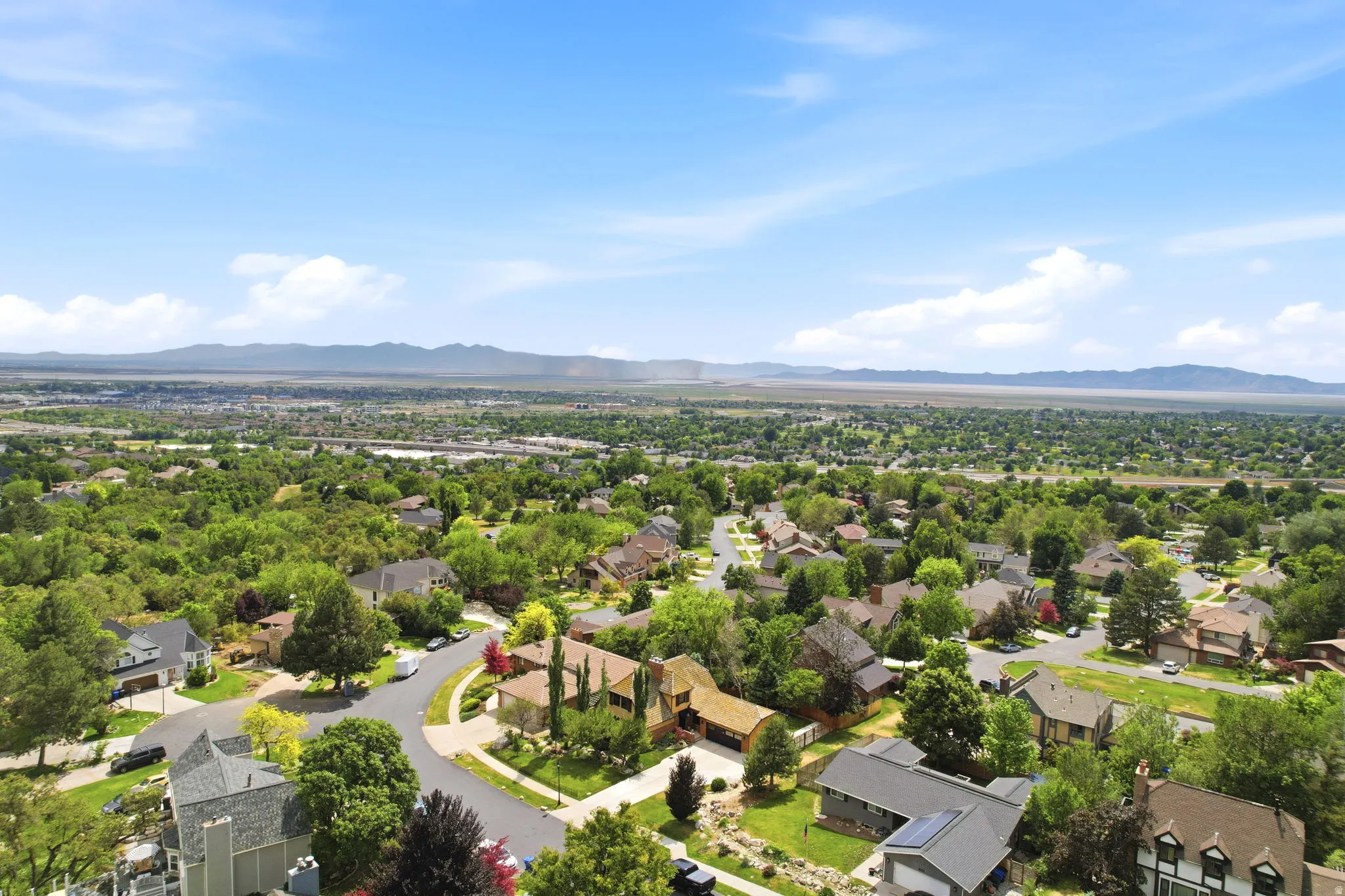 Expansive neighborhood showcasing numerous residences amidst abundant mature trees