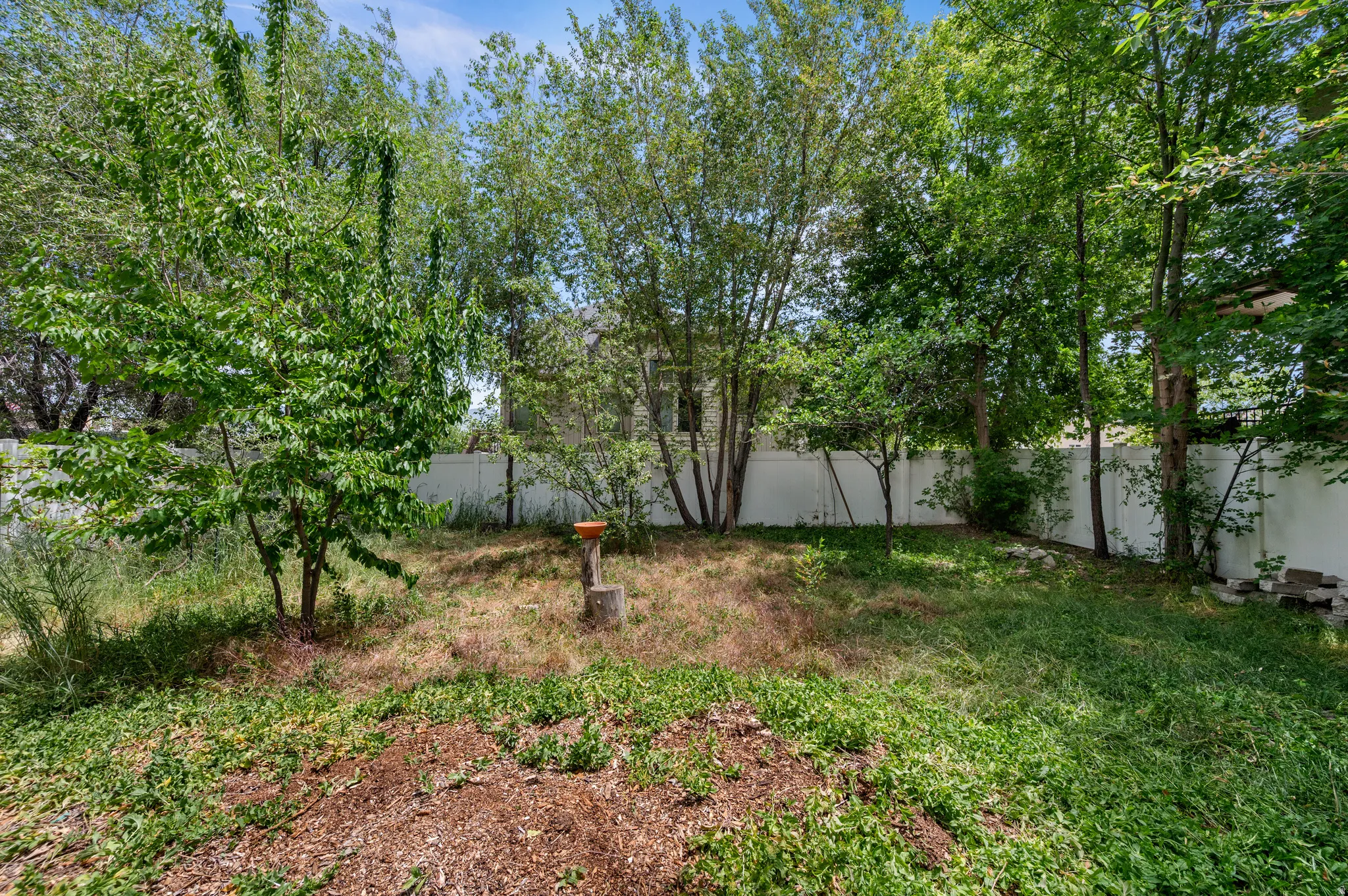 Expansive rear yard featuring a white privacy fence, mature trees, and varied ground cover