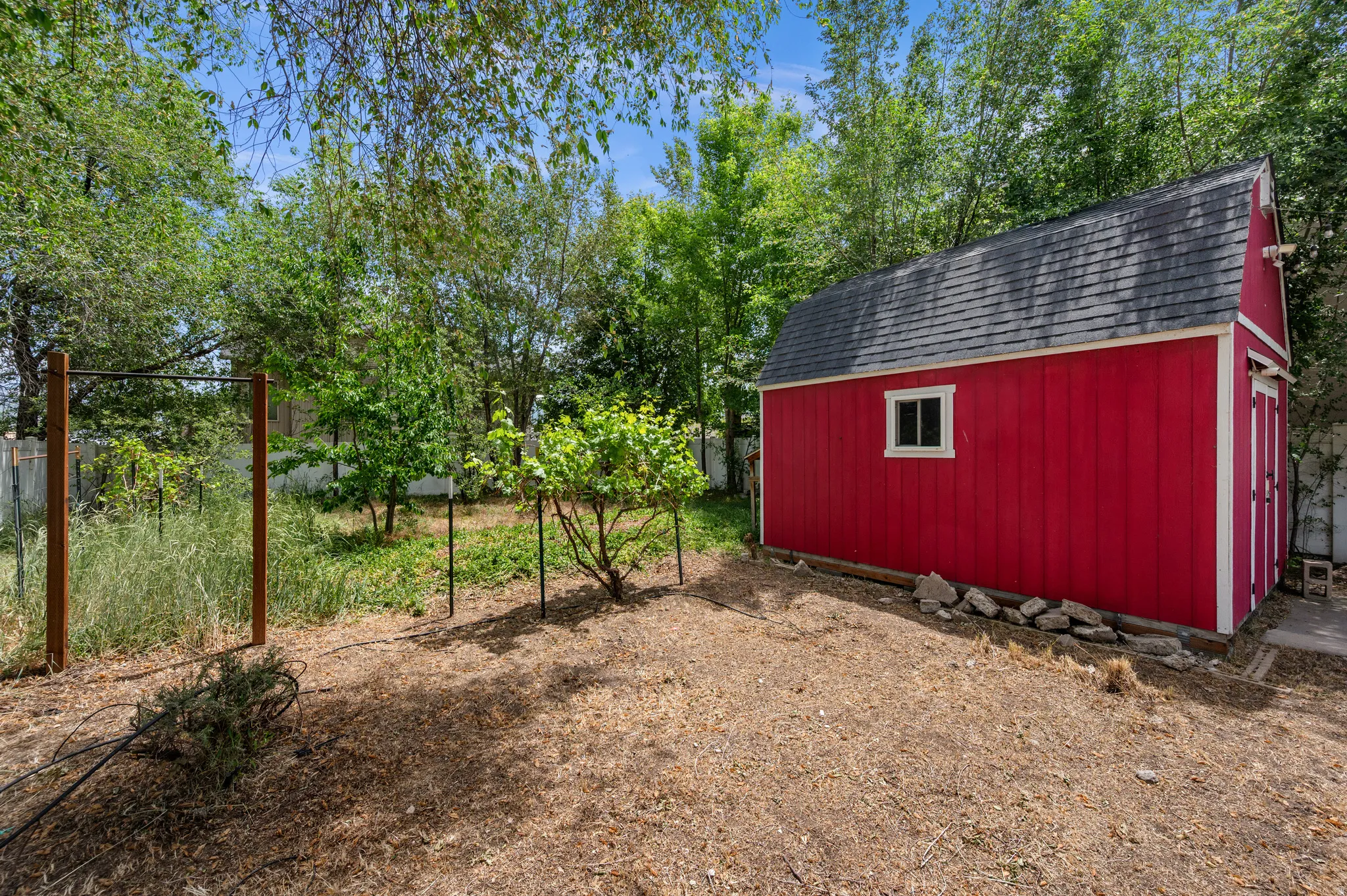 Freestanding red shed with white trim and a black shingle roof