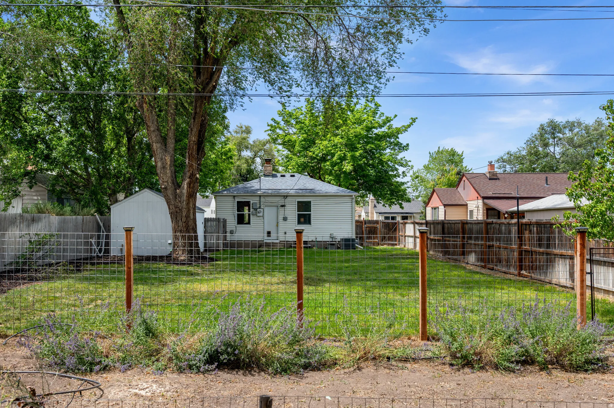 Expansive backyard featuring a manicured lawn, a chain-link fence with wood posts, and established perennial plantings