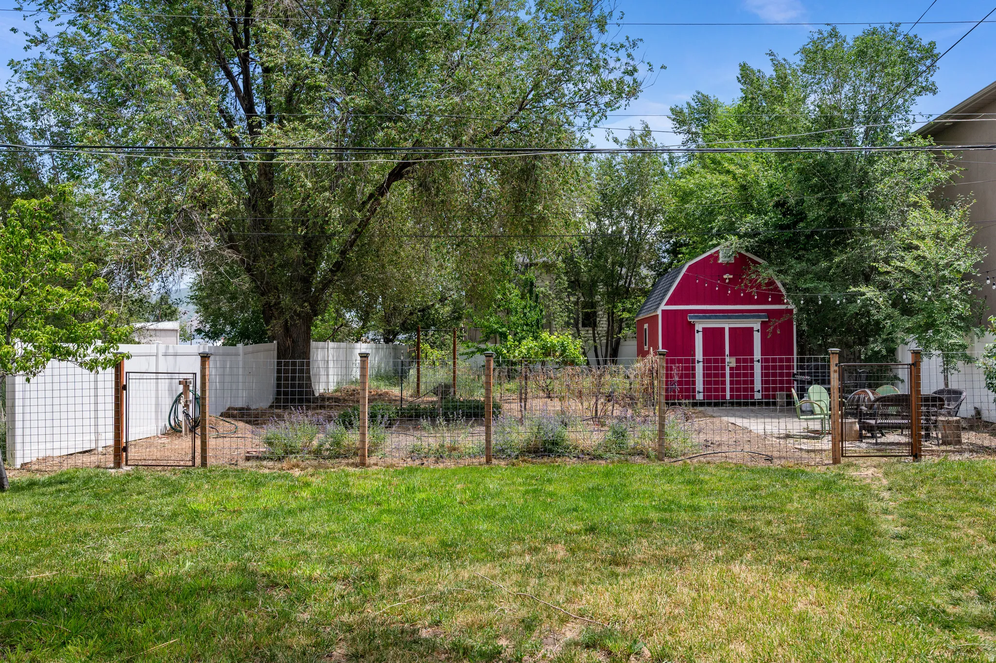Yard