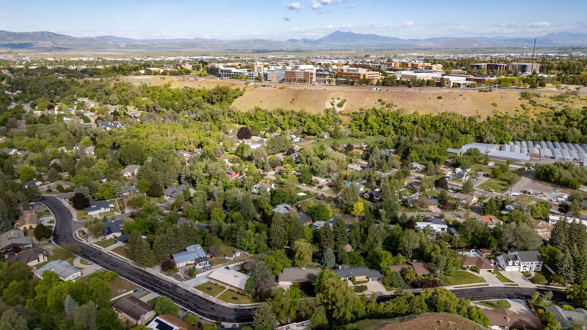 Aerial perspective showcasing a residential neighborhood with abundant mature trees and curving streets