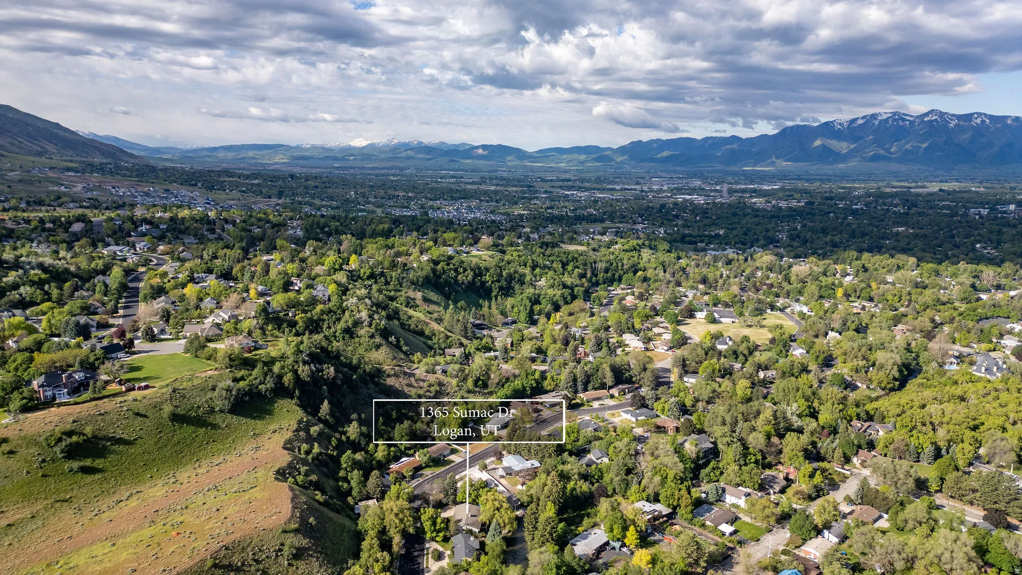 Expansive aerial landscape highlighting a verdant residential area