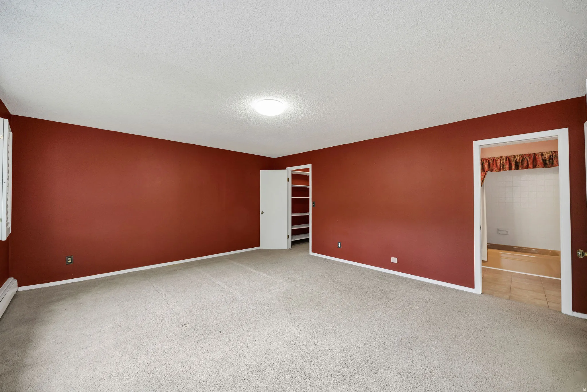 Spacious room featuring neutral carpeting, red-painted walls, and a ceiling-mounted light fixture