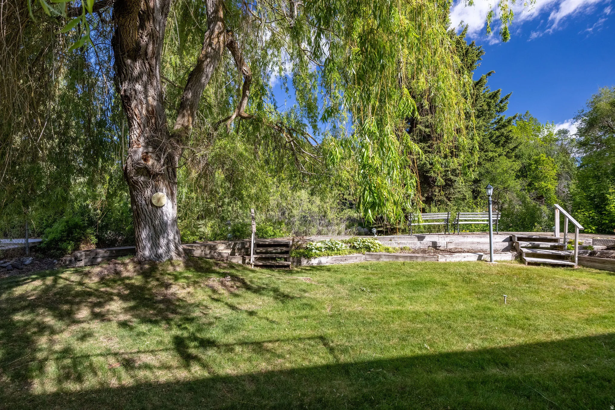 Expansive grassy lawn with a mature tree providing natural shade