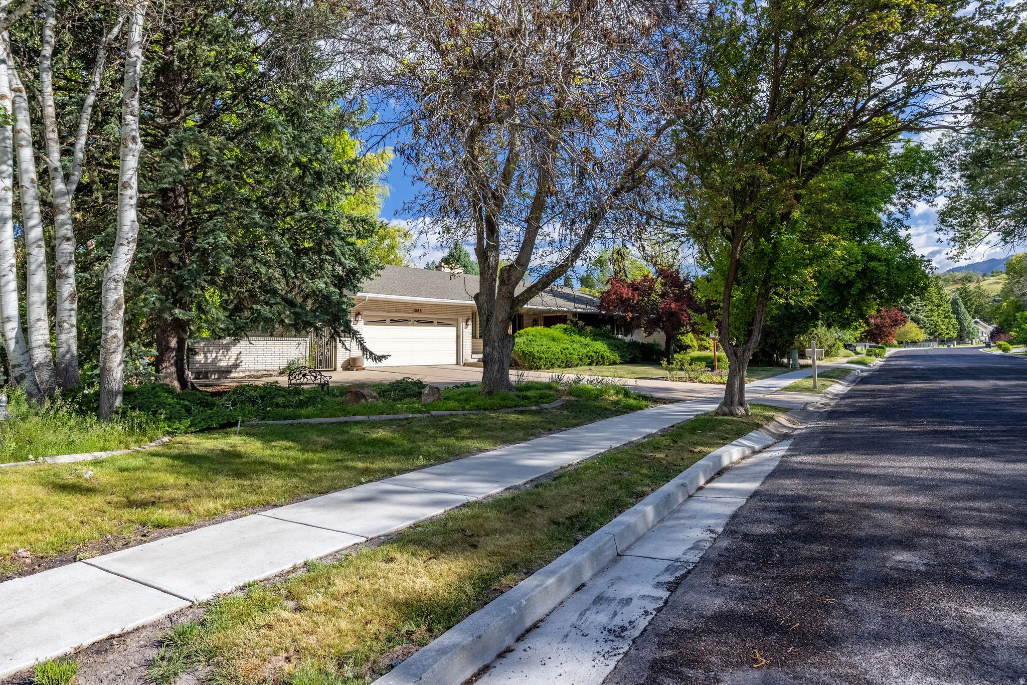 Residential streetscape featuring a concrete sidewalk and asphalt roadway