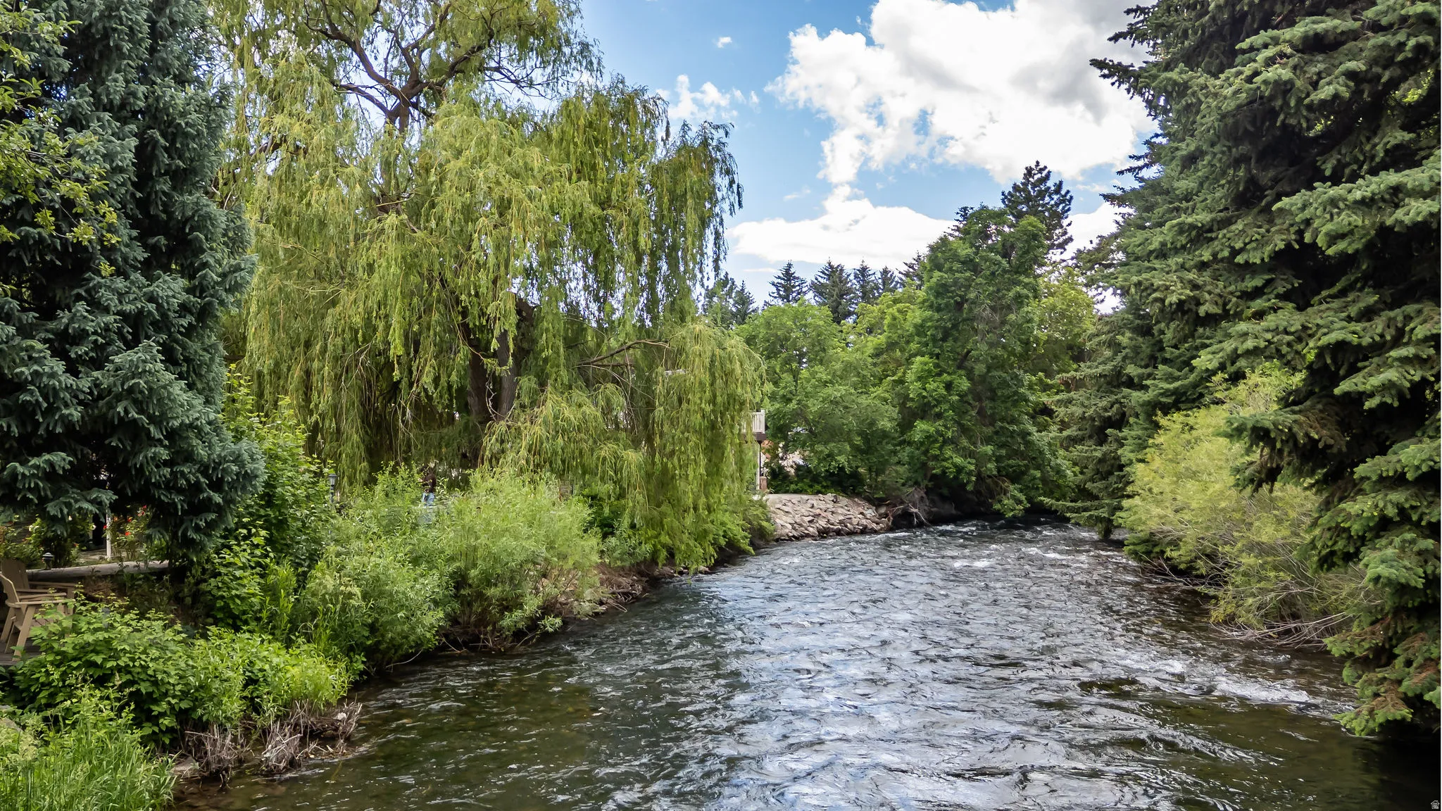 Waterfront property featuring a flowing river, mature conifer trees, and lush green foliage