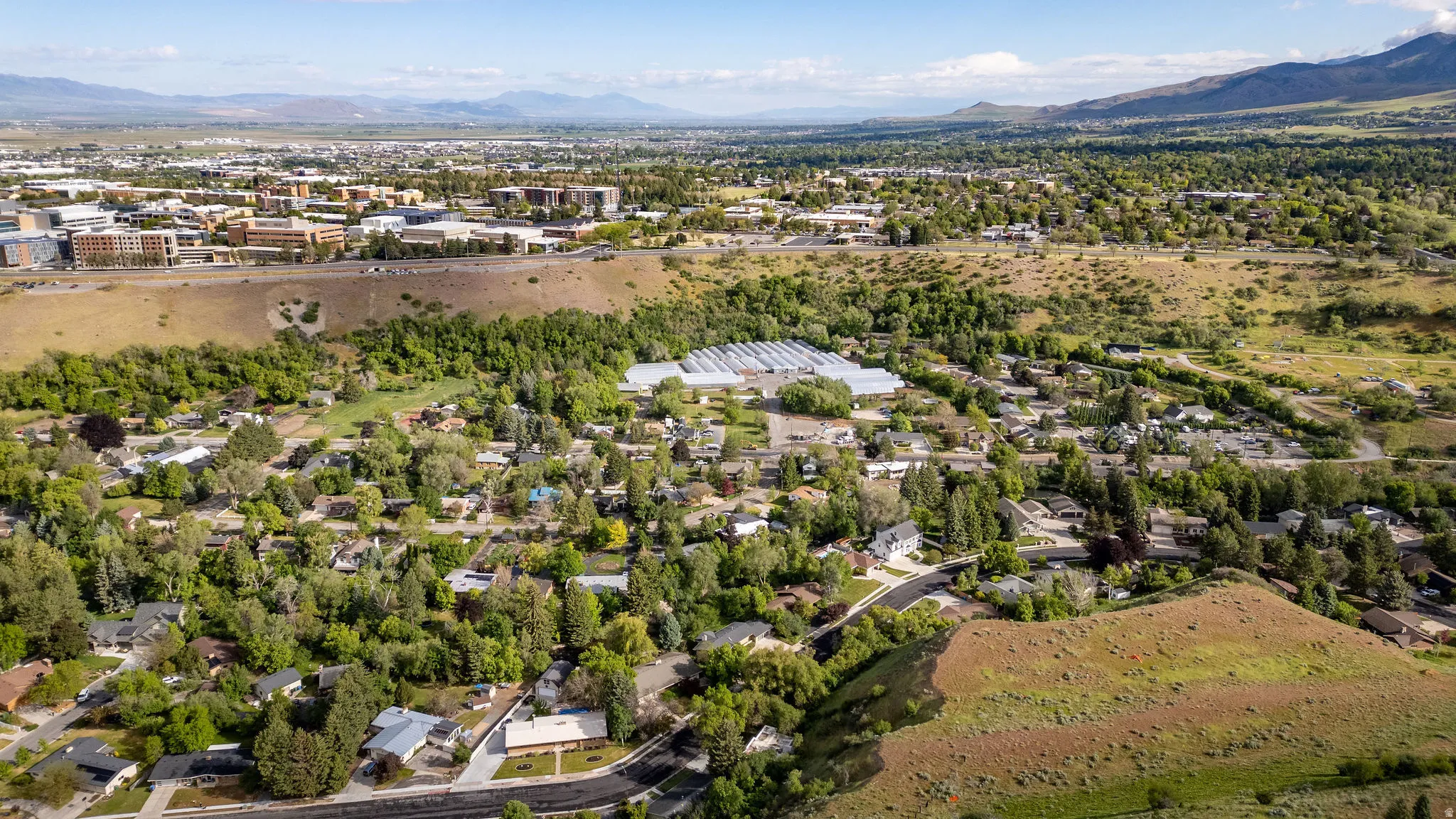 Expansive aerial perspective showcasing a verdant residential area with mature tree coverage