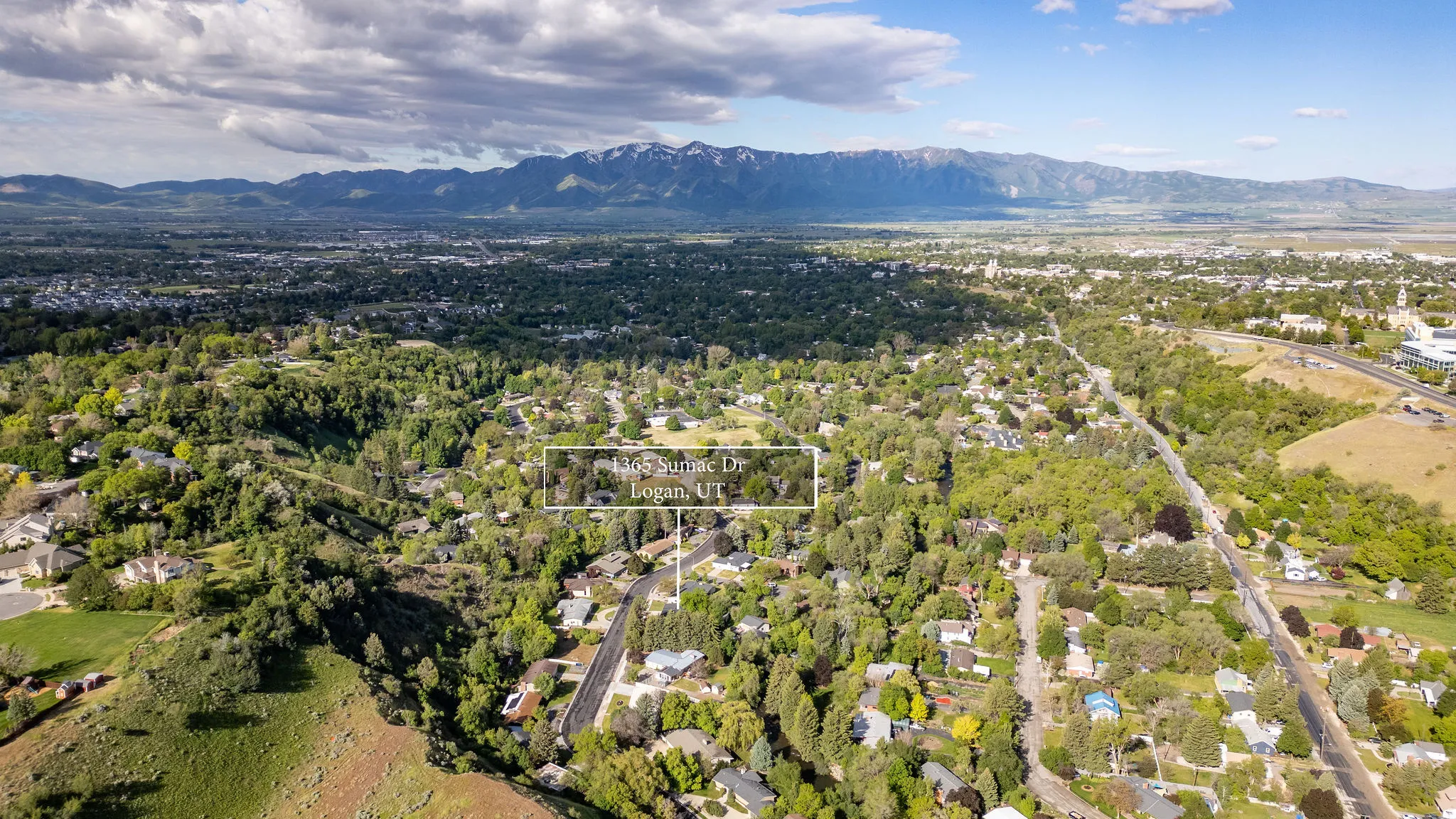 Extensive neighborhood with mature trees and a distant mountain range