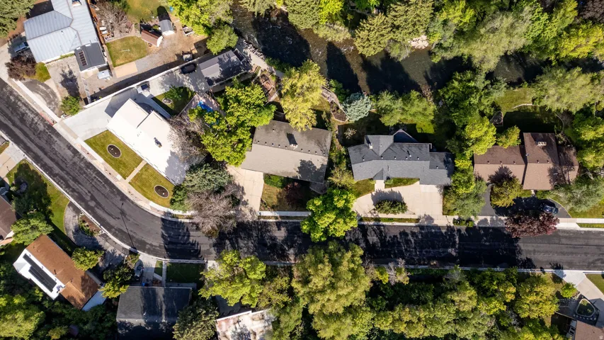 Aerial view of a residential neighborhood featuring established homes and abundant mature trees