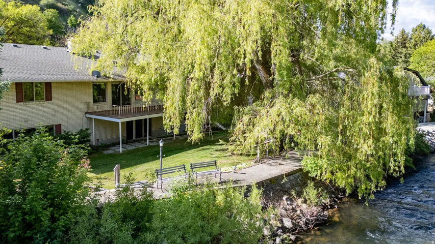 Expansive green lawn with mature weeping willow tree