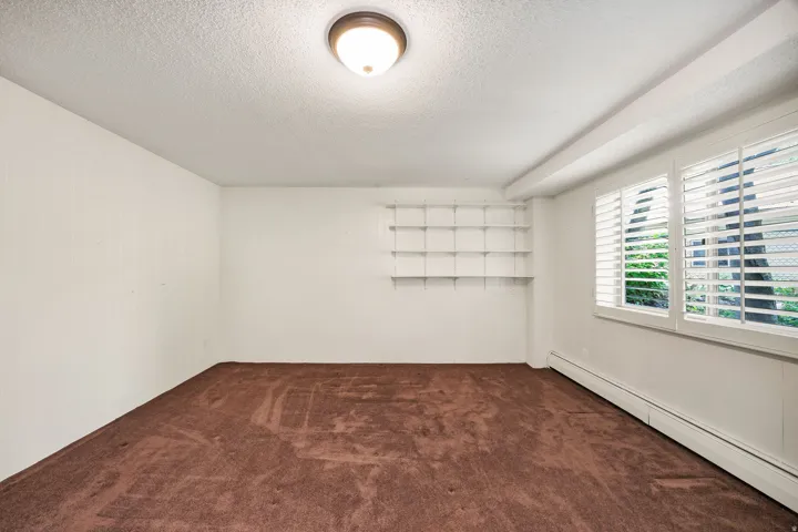 Spacious room with plush brown carpeting, integrated wall shelving, two windows featuring white plantation shutters, and a ceiling-mounted light fixture