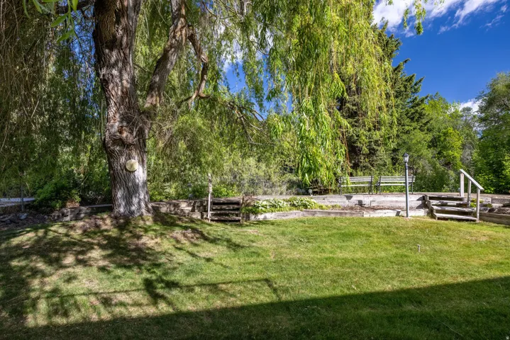 Expansive grassy lawn with a mature tree providing natural shade