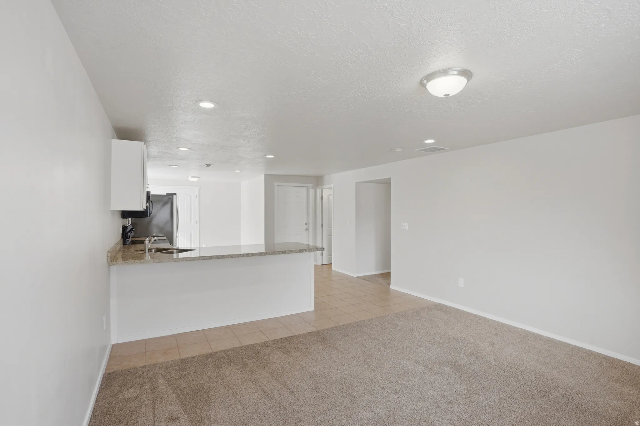 Basement full kitchen and living room